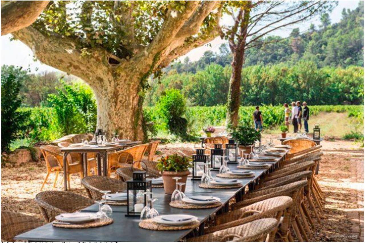 Bed and Breakfast Domaine Regis Freres Vidauban Zewnętrze zdjęcie